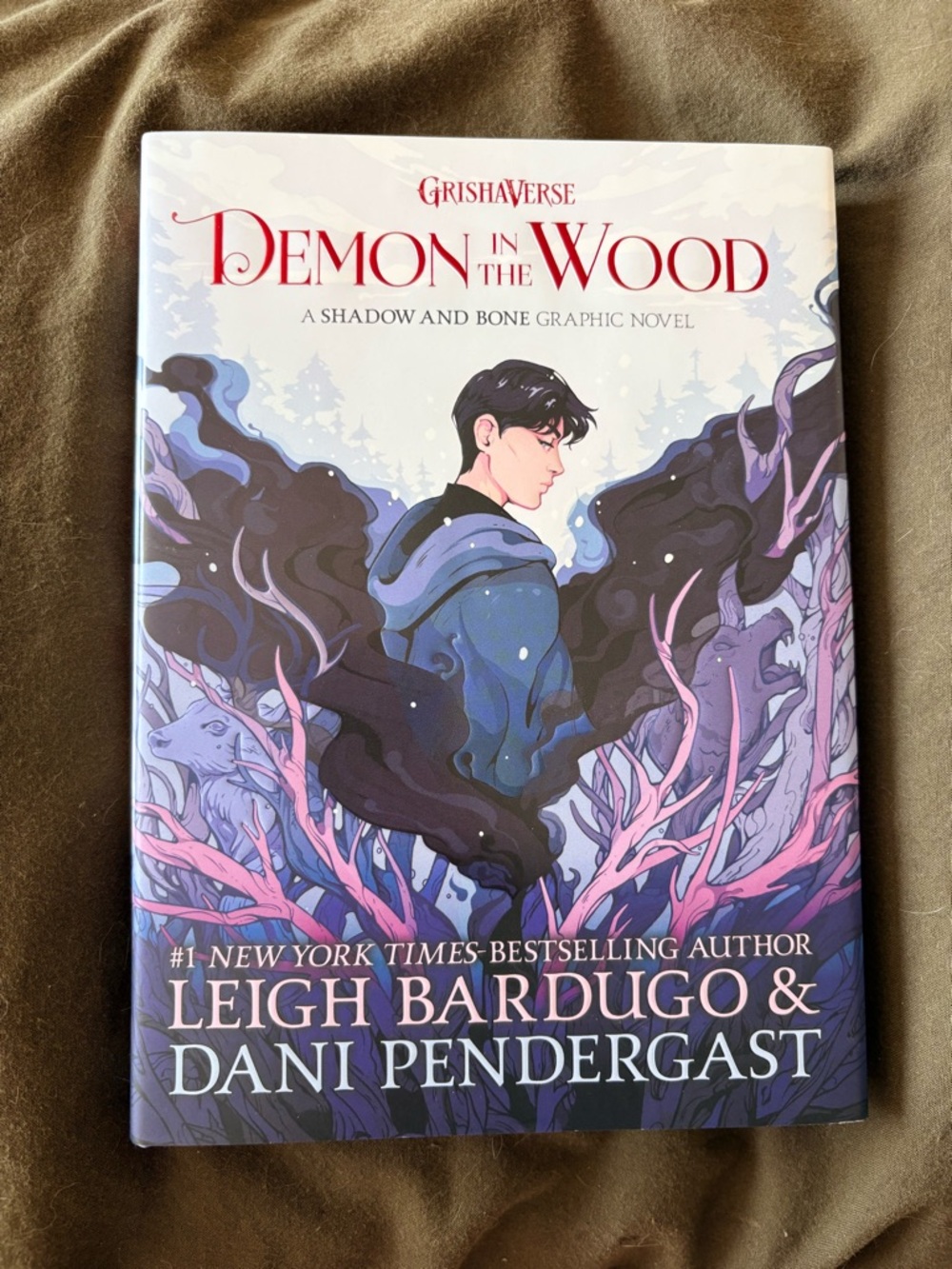 Demon in the Wood by Leigh Bardugo & Dani Pendergast